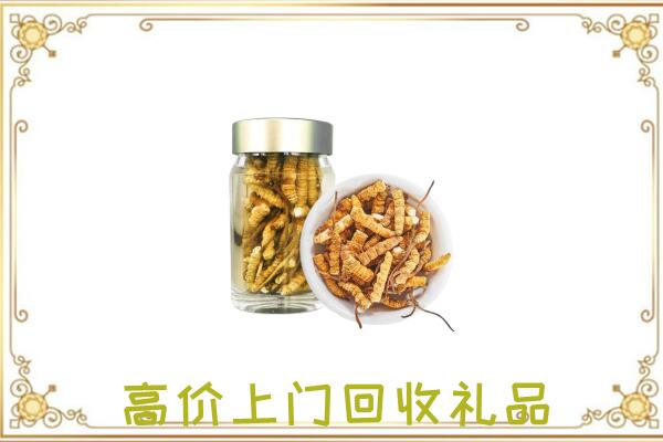鲁山周边回收虫草